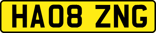 HA08ZNG