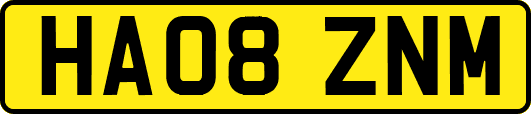 HA08ZNM