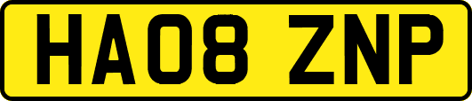 HA08ZNP