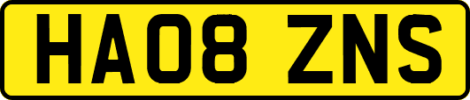 HA08ZNS