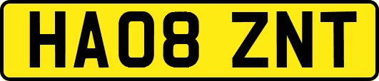 HA08ZNT