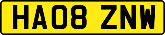 HA08ZNW