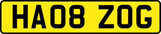 HA08ZOG