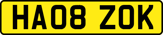 HA08ZOK