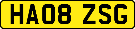 HA08ZSG