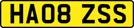 HA08ZSS
