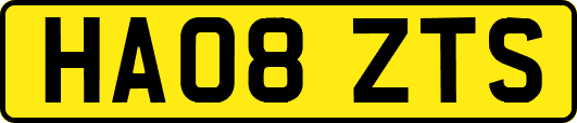 HA08ZTS