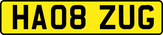 HA08ZUG