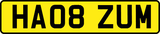 HA08ZUM