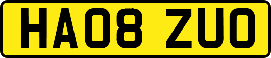 HA08ZUO