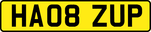 HA08ZUP