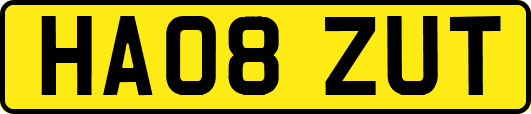 HA08ZUT