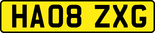 HA08ZXG