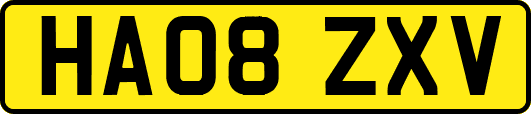 HA08ZXV