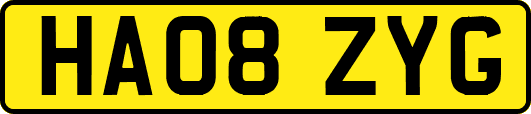 HA08ZYG