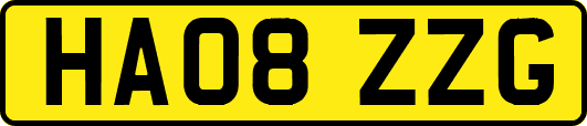 HA08ZZG