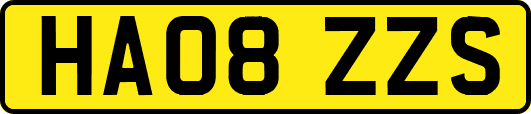 HA08ZZS
