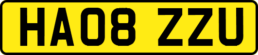 HA08ZZU