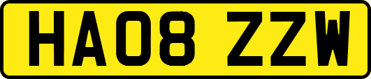 HA08ZZW