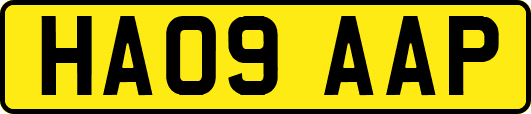 HA09AAP