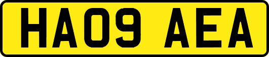 HA09AEA