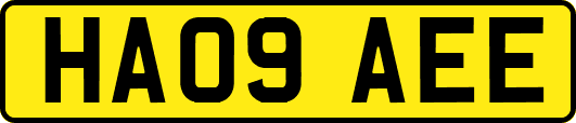 HA09AEE