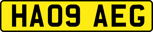 HA09AEG