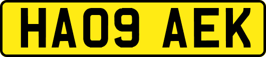 HA09AEK