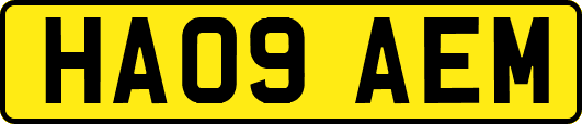 HA09AEM