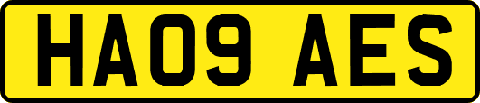 HA09AES