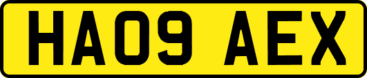 HA09AEX