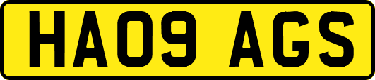 HA09AGS
