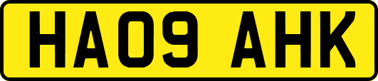 HA09AHK