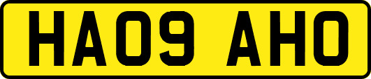 HA09AHO