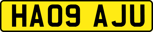 HA09AJU