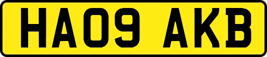 HA09AKB