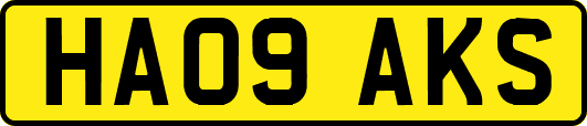HA09AKS