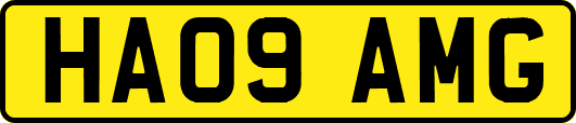 HA09AMG