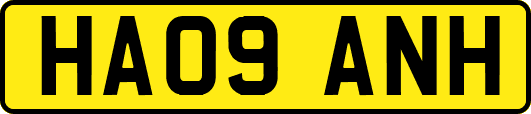 HA09ANH