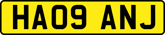 HA09ANJ