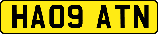HA09ATN