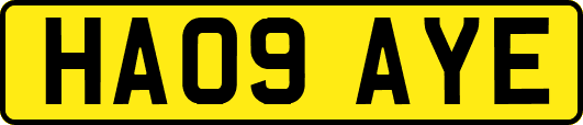 HA09AYE