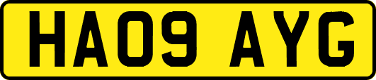 HA09AYG