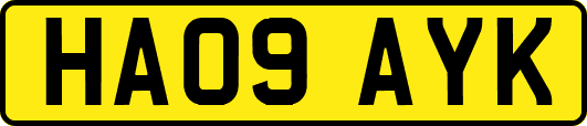 HA09AYK