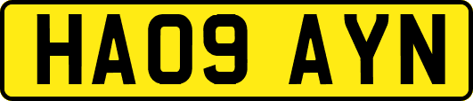 HA09AYN