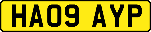 HA09AYP