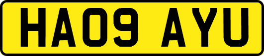 HA09AYU