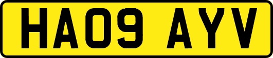 HA09AYV