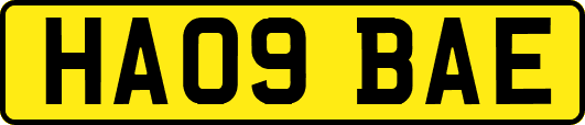 HA09BAE