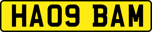 HA09BAM